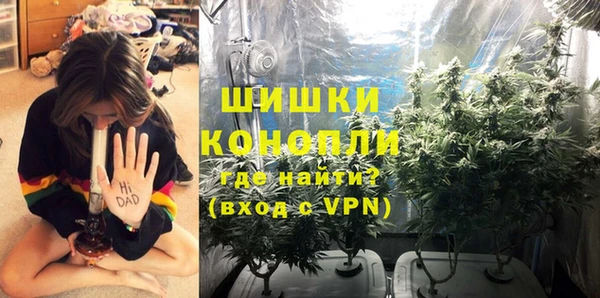 сатива Зерноград