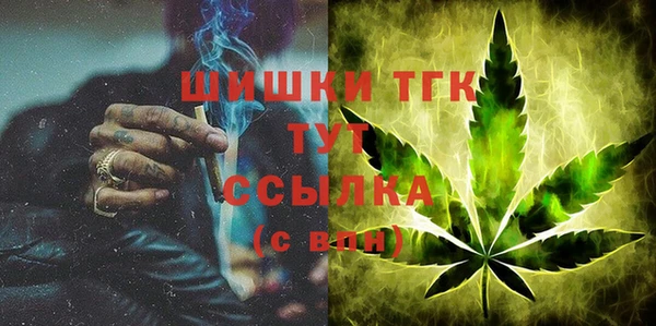 спиды Гусев