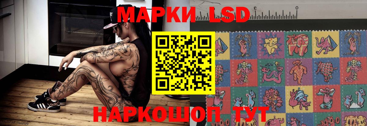 Кингисепп  ЛСД экстази кислота  Лсд 25 экстази  Вход с VPN  LSD-25 экстази кислота 