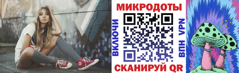 Галлюциногенные грибы прущие грибы  Кингисепп 