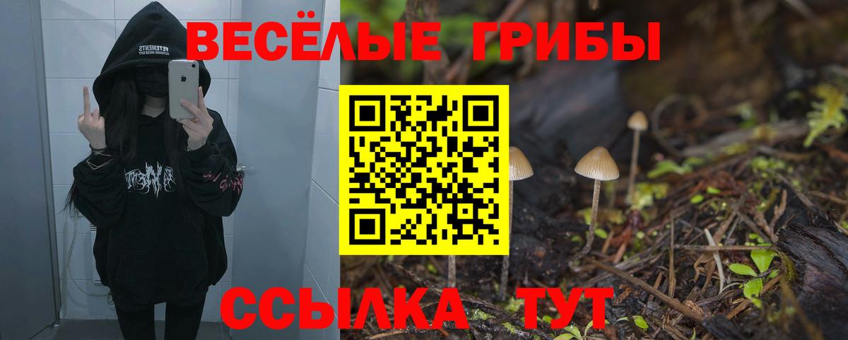 Кингисепп  Псилоцибиновые грибы прущие грибы  Вход с VPN  продажа наркотиков  Галлюциногенные грибы мицелий 